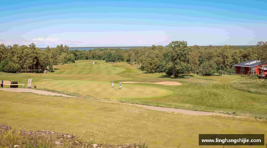 彩神vll永不言败，英雄始终在路上！